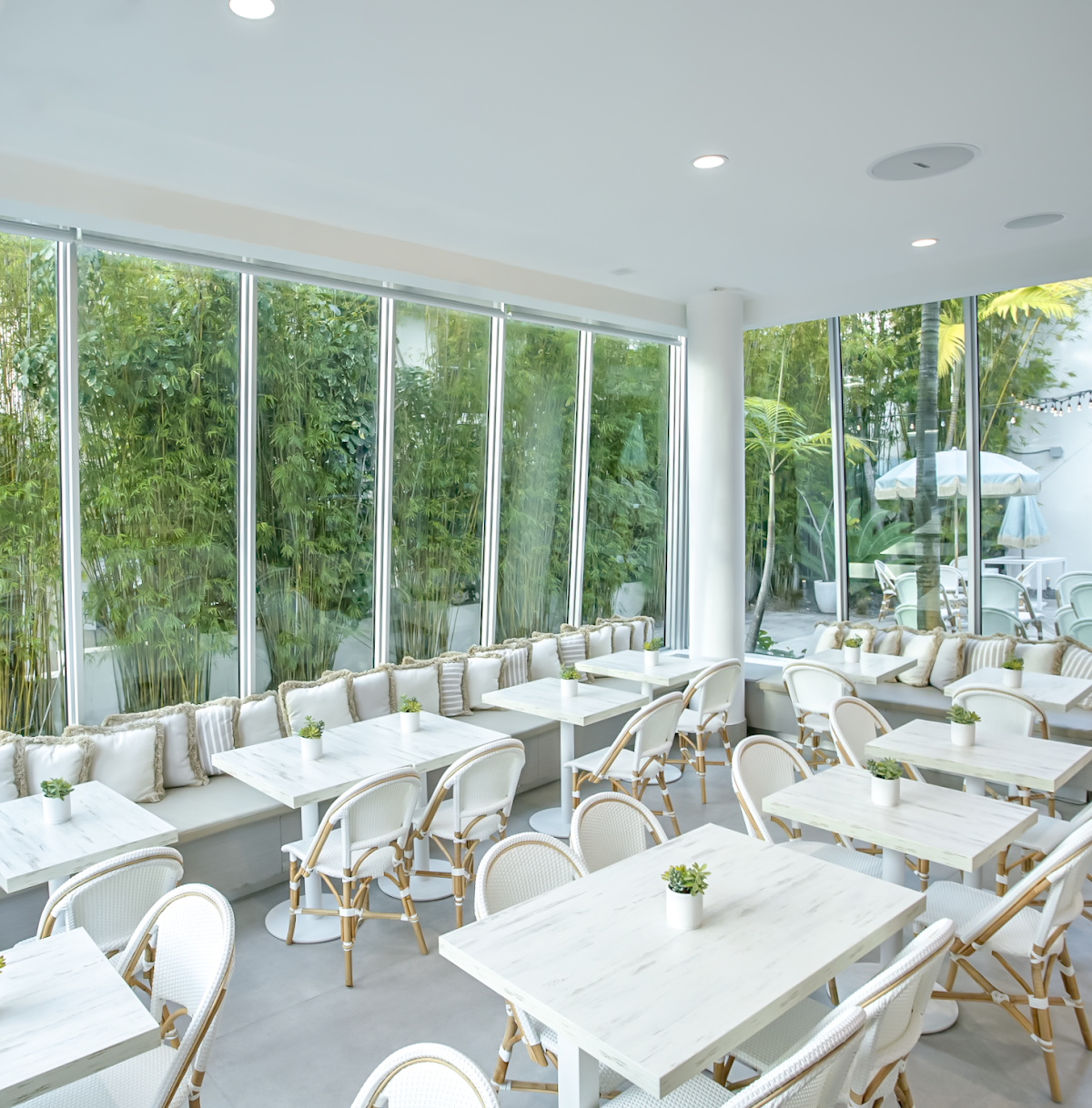 Pura Vida Miami