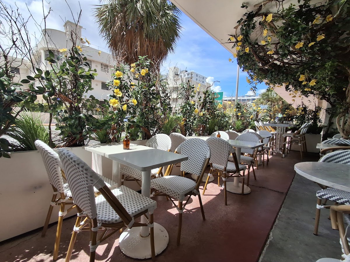 Motek – Miami Beach