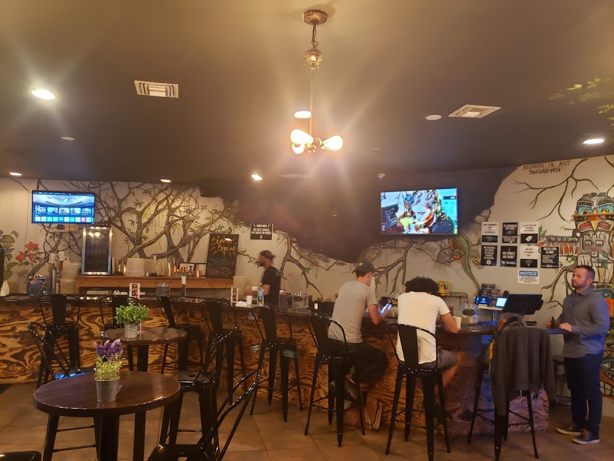 Roots Miami Kava & Eatery