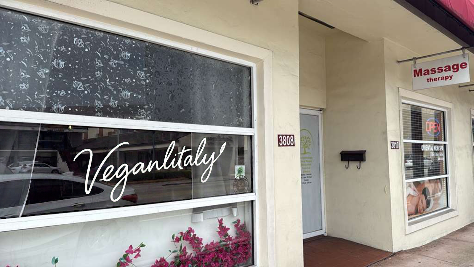The Best Vegan Restaurants in Miami: Where to Eat Plant-Based in the 305