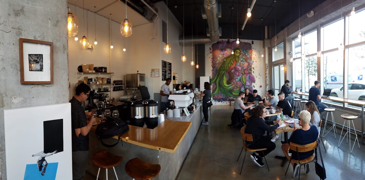 Vice City Bean – Downtown
