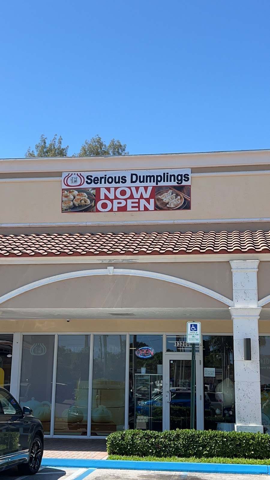 Serious Dumplings