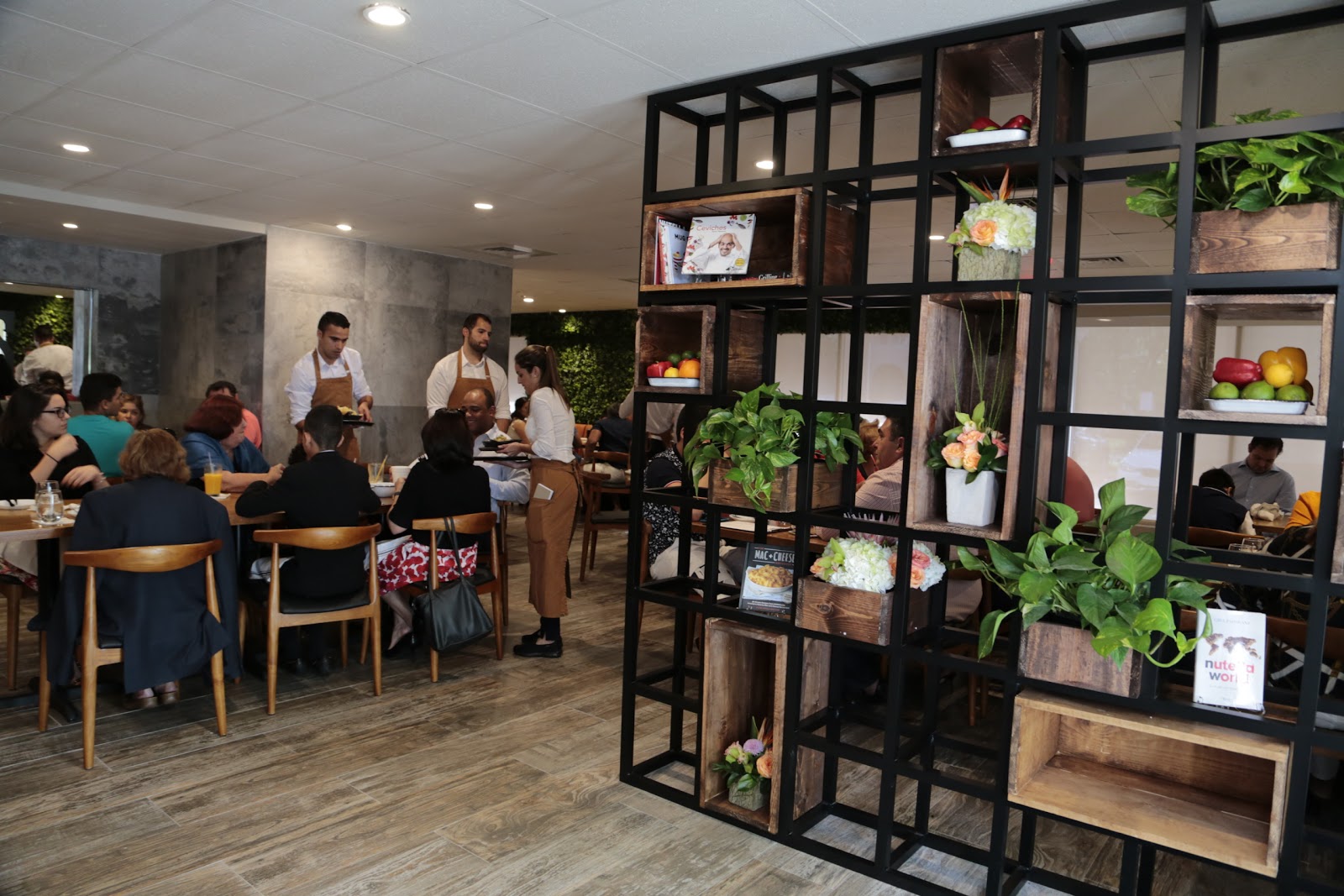Bocas House