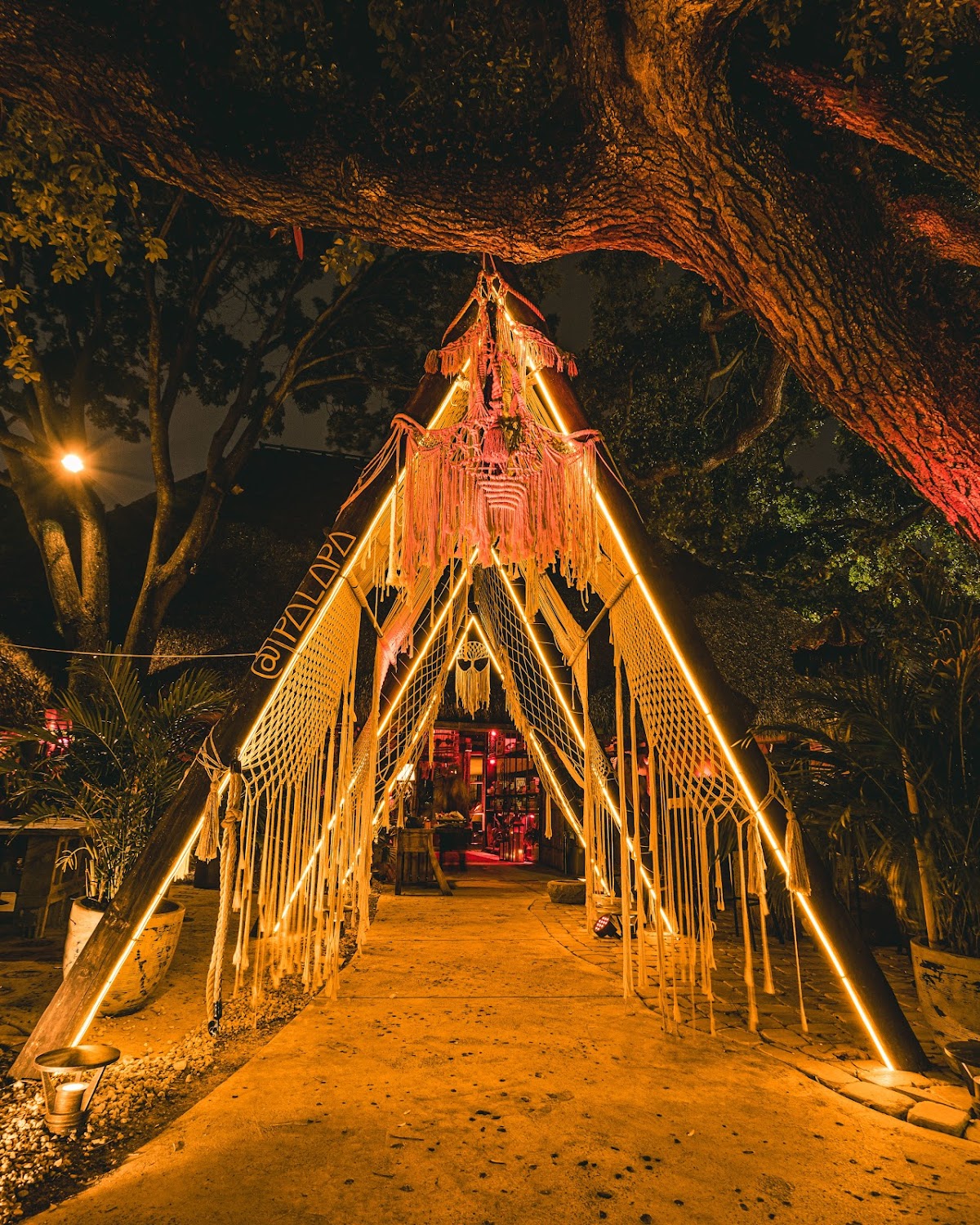 Palapa