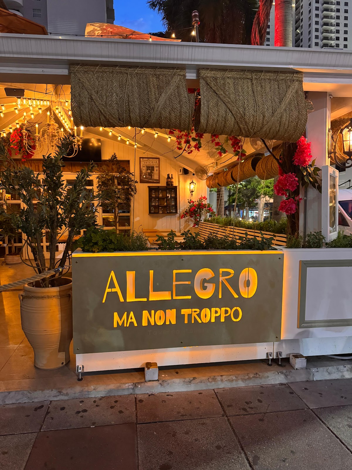 Allegro Ma Non Troppo