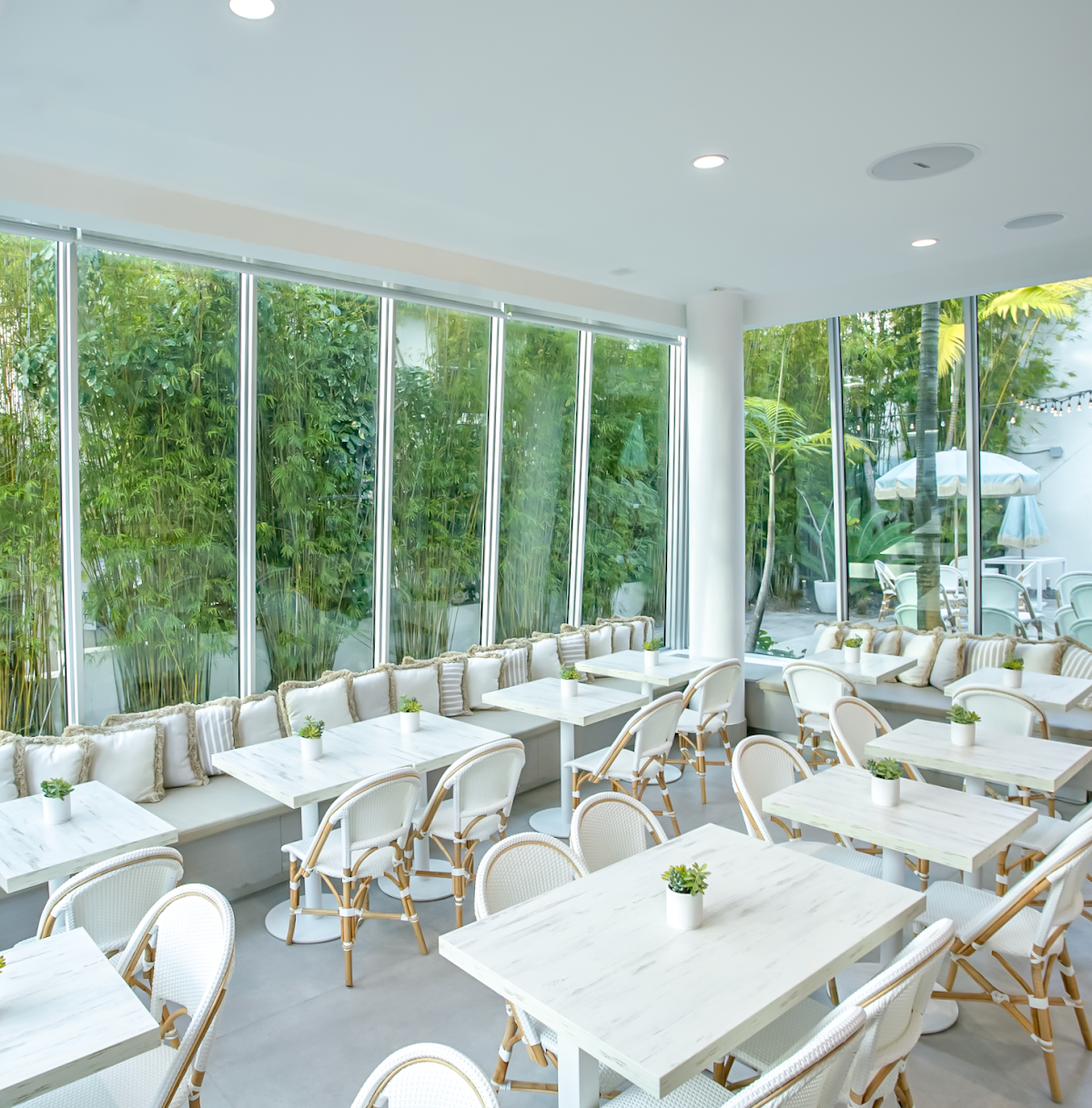 Pura Vida Miami