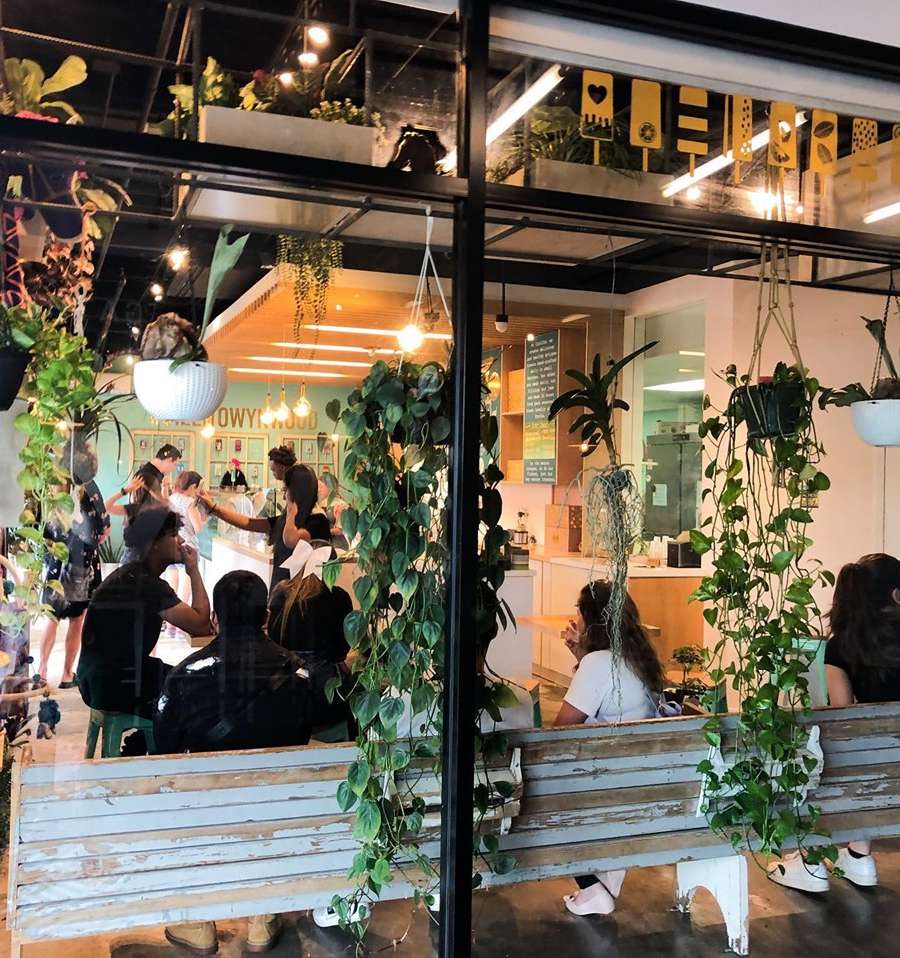 Cielito Artisan Pops – Wynwood