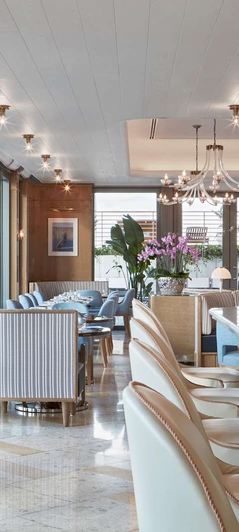 Bellini | Coconut Grove