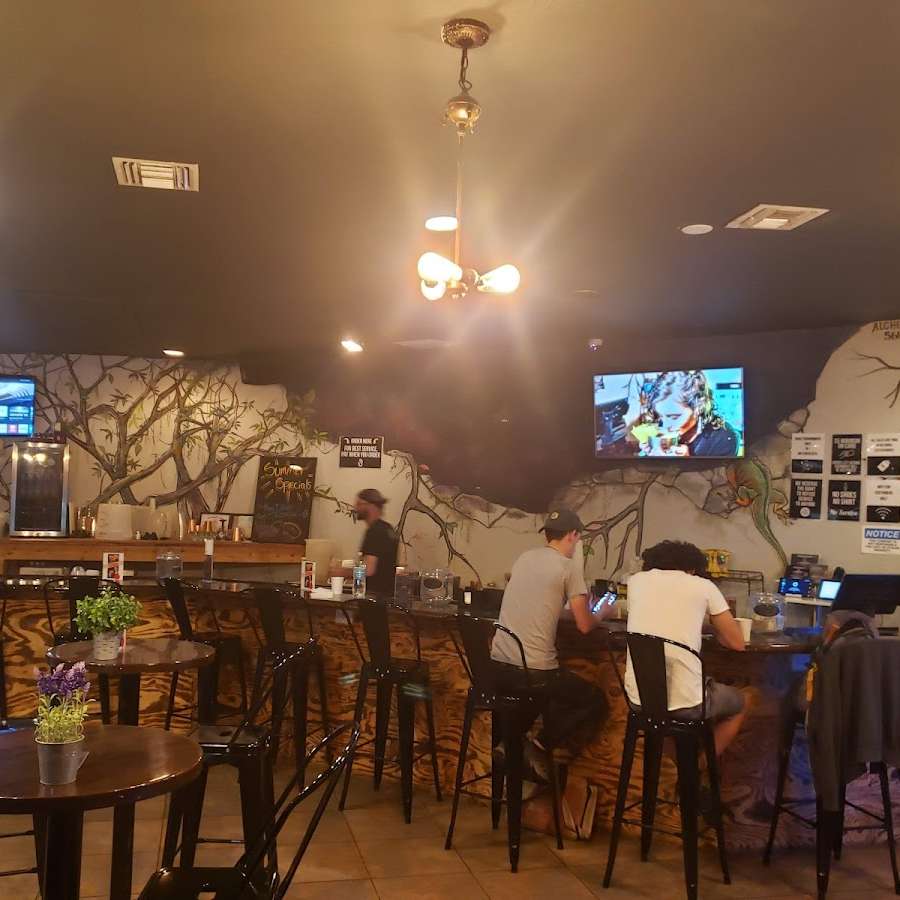 Roots Miami Kava & Eatery