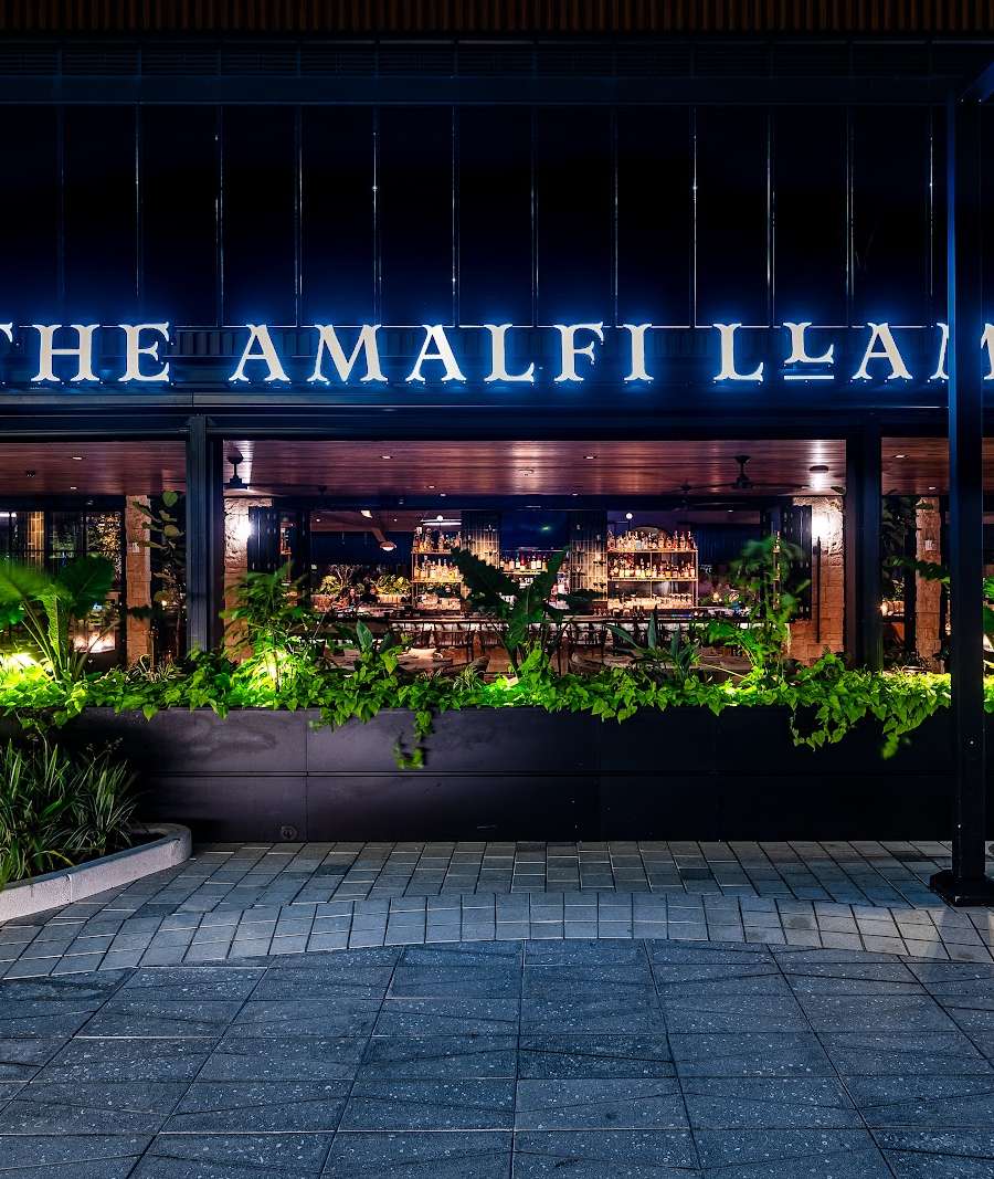 The Amalfi Llama - Miami