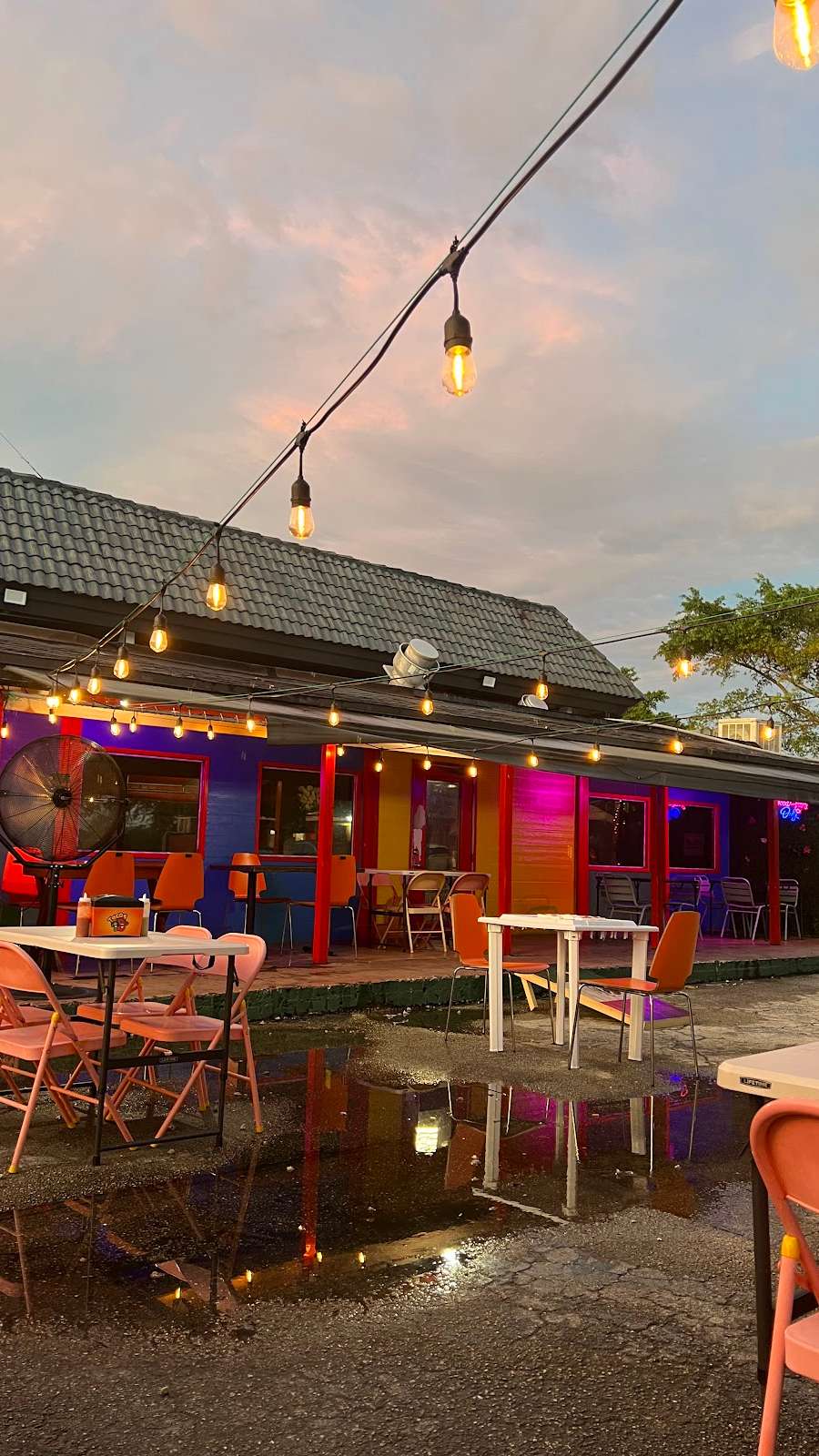 Tacos 19