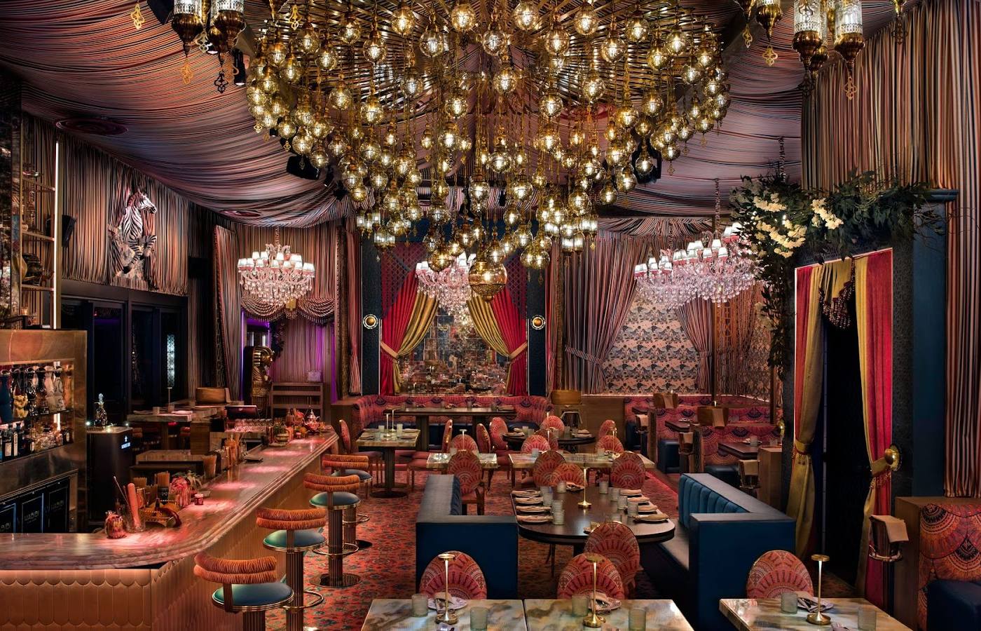 Habibi Miami