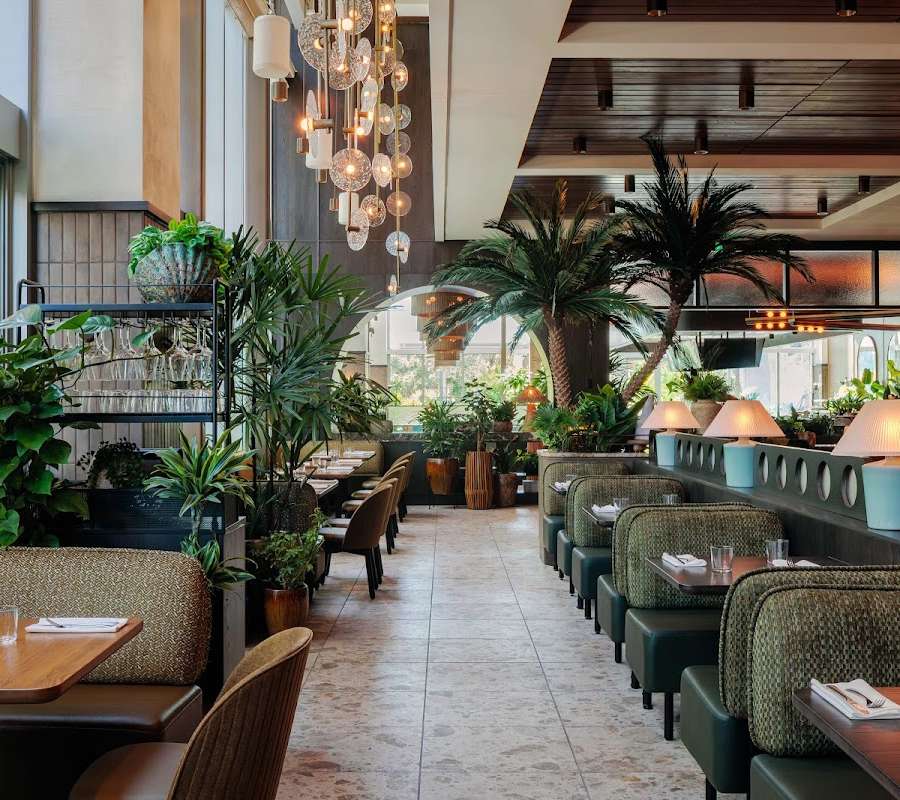 Earls Kitchen + Bar