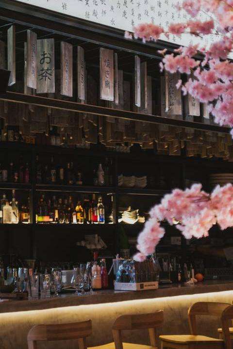Paperfish Sushi