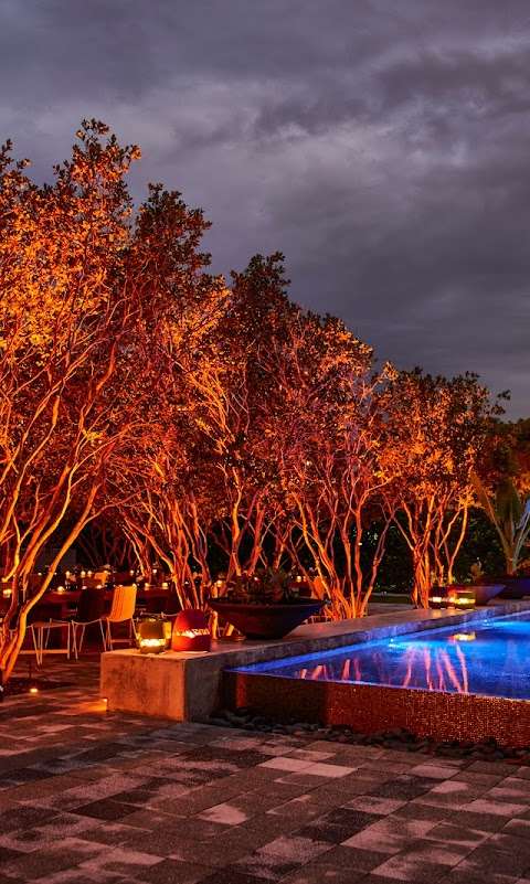 Plant Miami