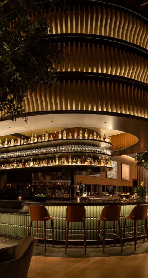 Cactus Club Cafe Downtown Miami