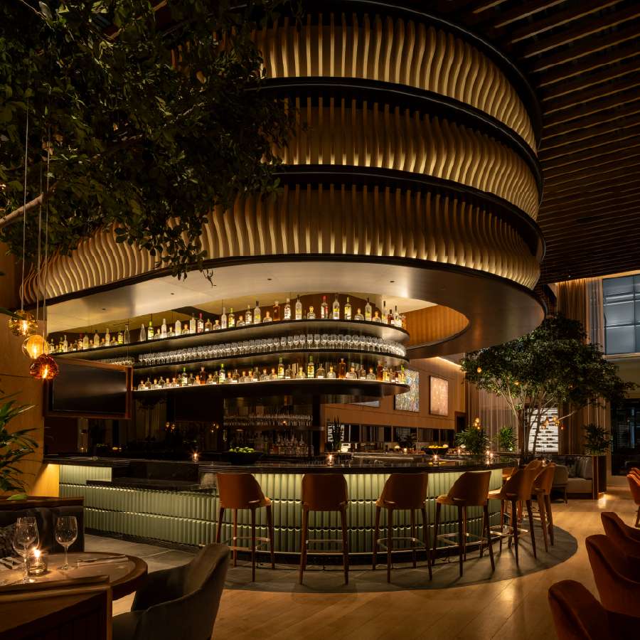 Cactus Club Cafe Downtown Miami