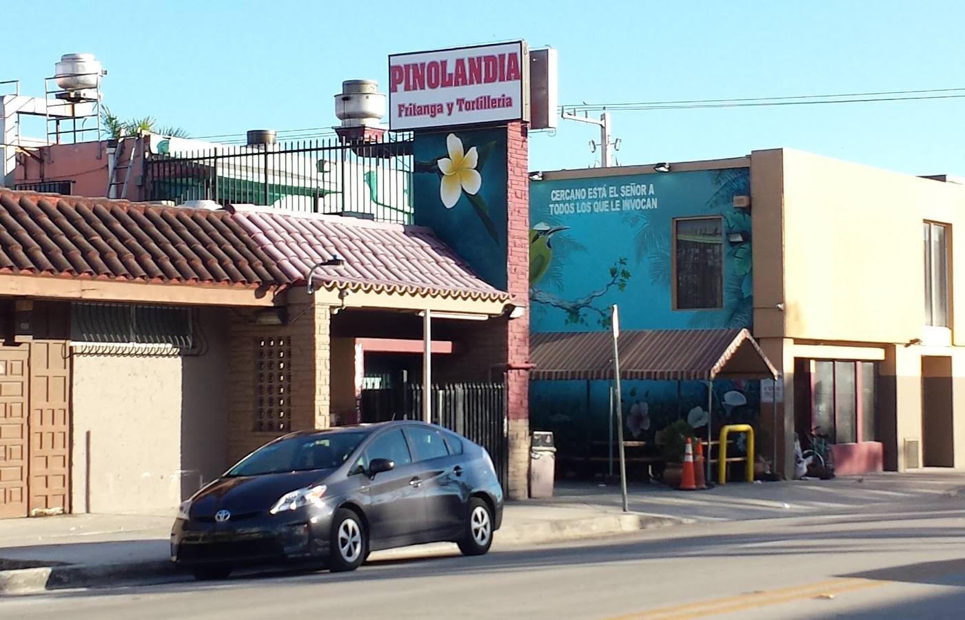 Pinolandia