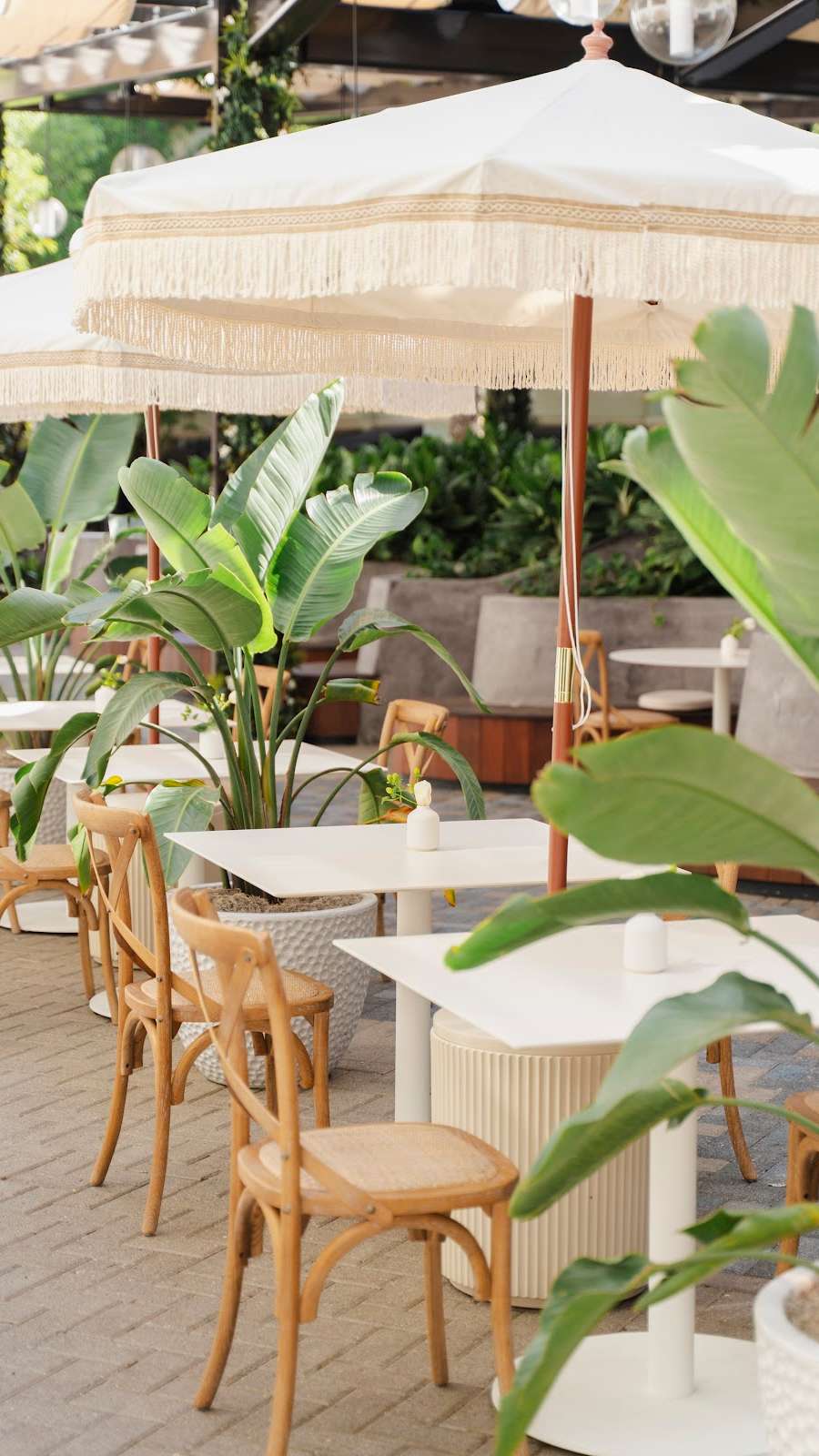 Avo Miami