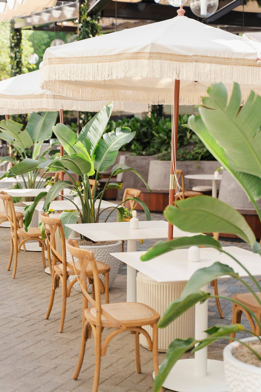 Avo Miami