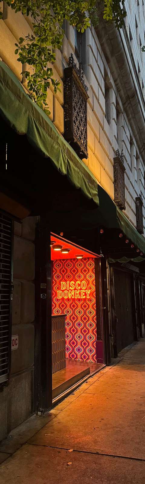 Disco Donkey