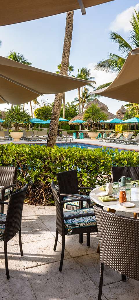 Essensia Restaurant at The Palms Hotel & Spa