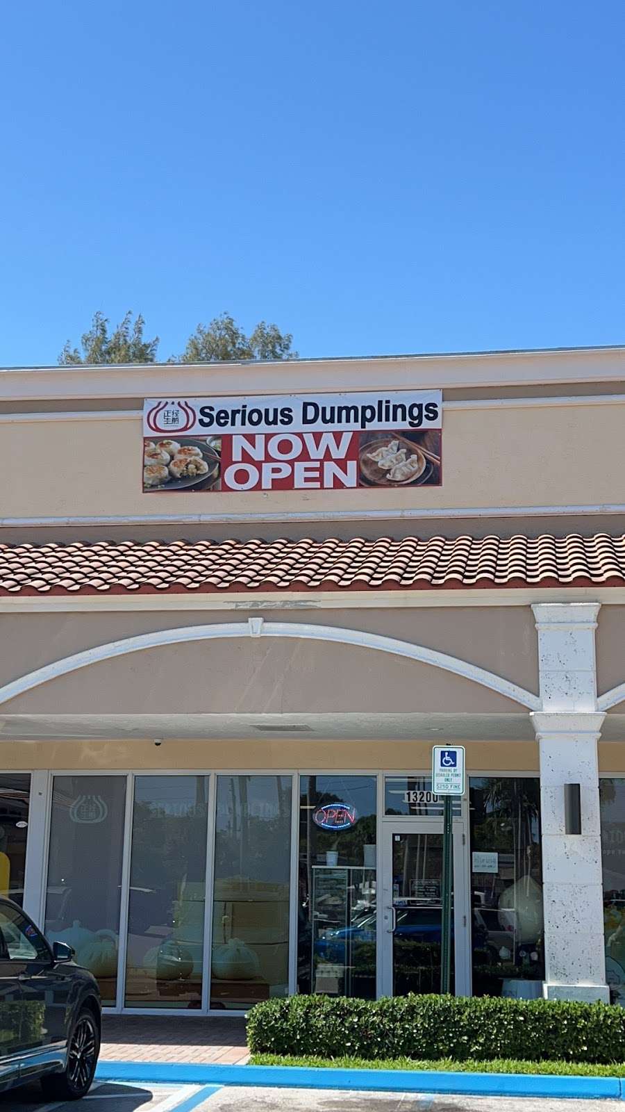Serious Dumplings
