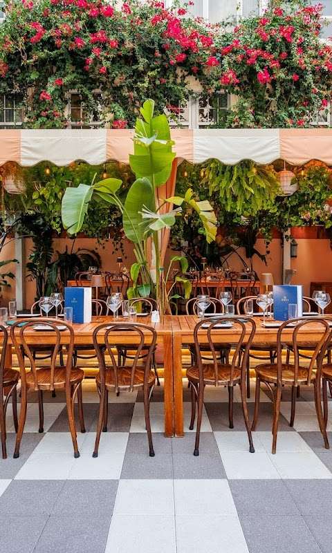 Blue Ribbon Sushi Bar & Grill