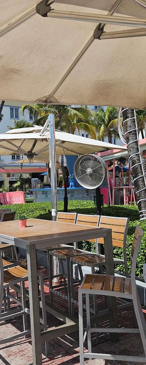The Clevelander Bar