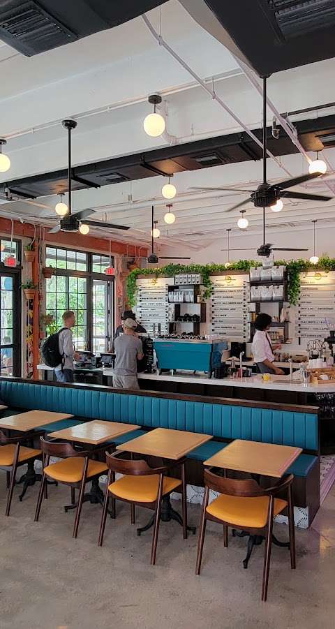 Novela Cafe Social