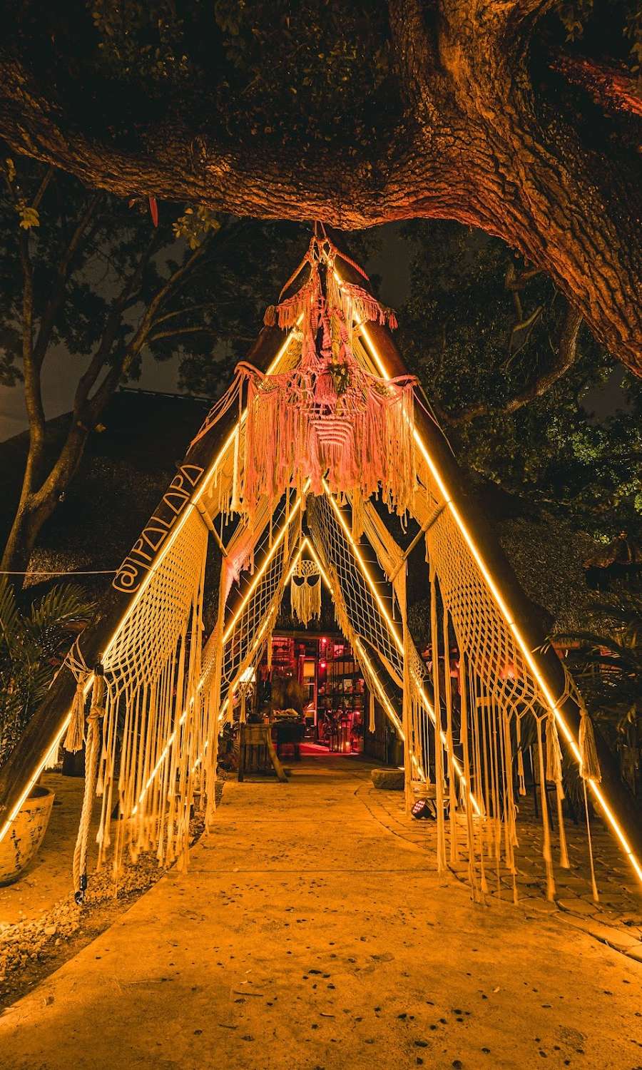 Palapa