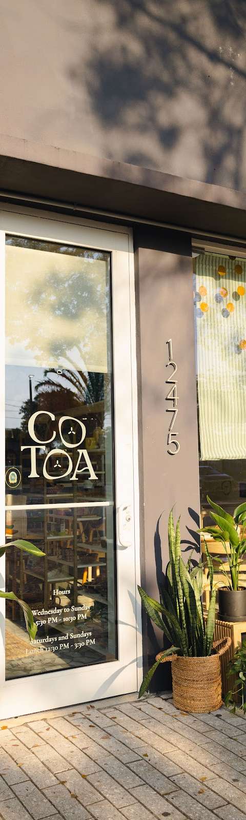 Cotoa