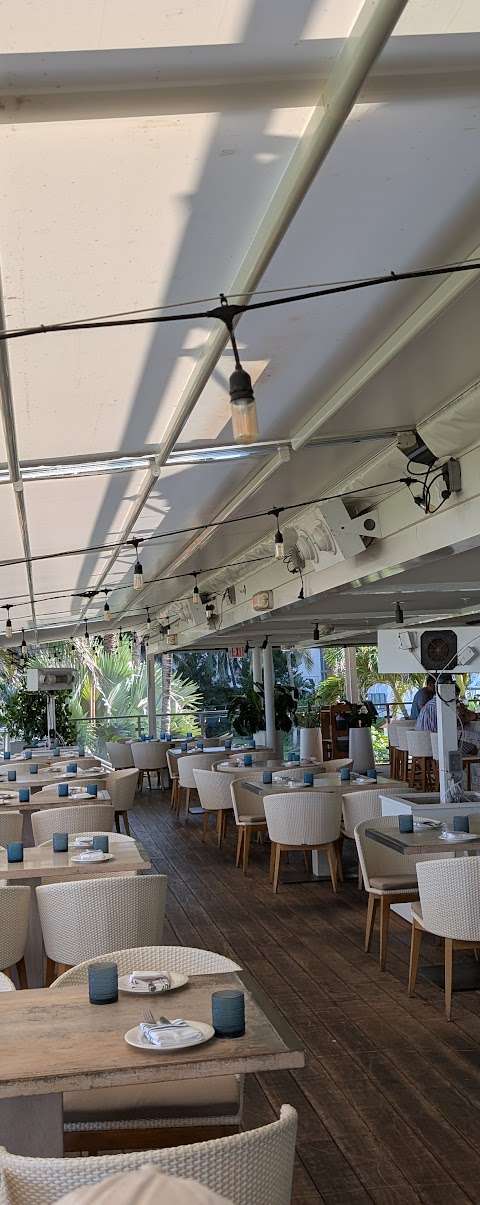 Ocean Social