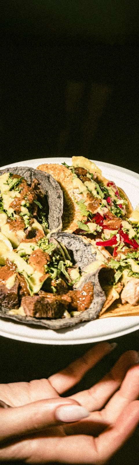 Tacos María