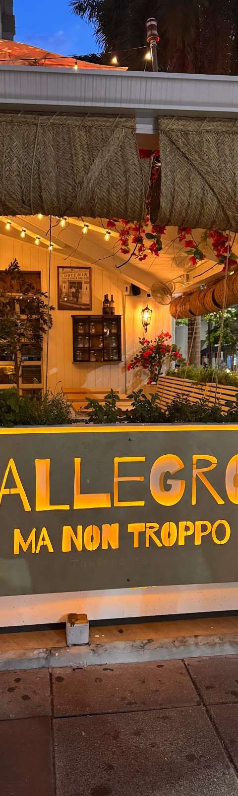 Allegro Ma Non Troppo
