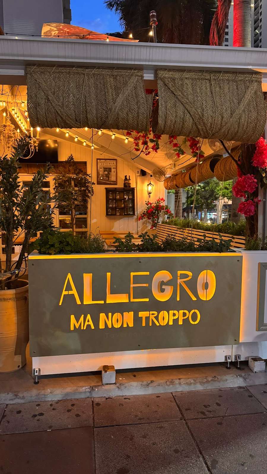 Allegro Ma Non Troppo