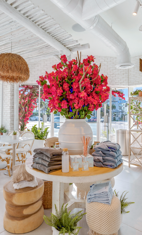 Pura Vida Miami