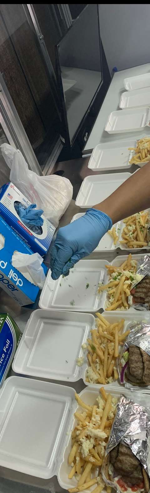 Gyros 305