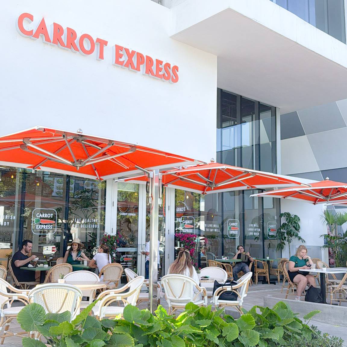 Carrot – Miami Beach